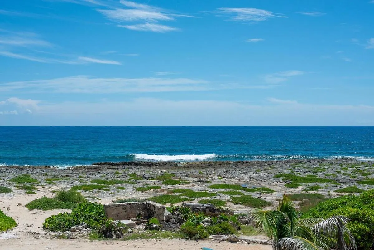 Lejlighed Tree House Akumal Sea View Walk To Beach 11 Pools Mexico